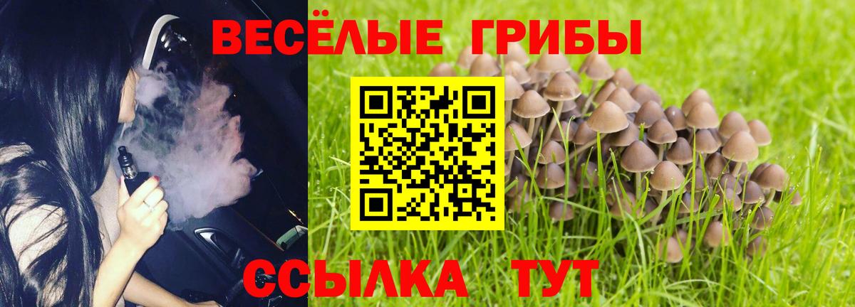Карачаевск  купить наркоту  Вход с VPN  Галлюциногенные грибы мицелий 